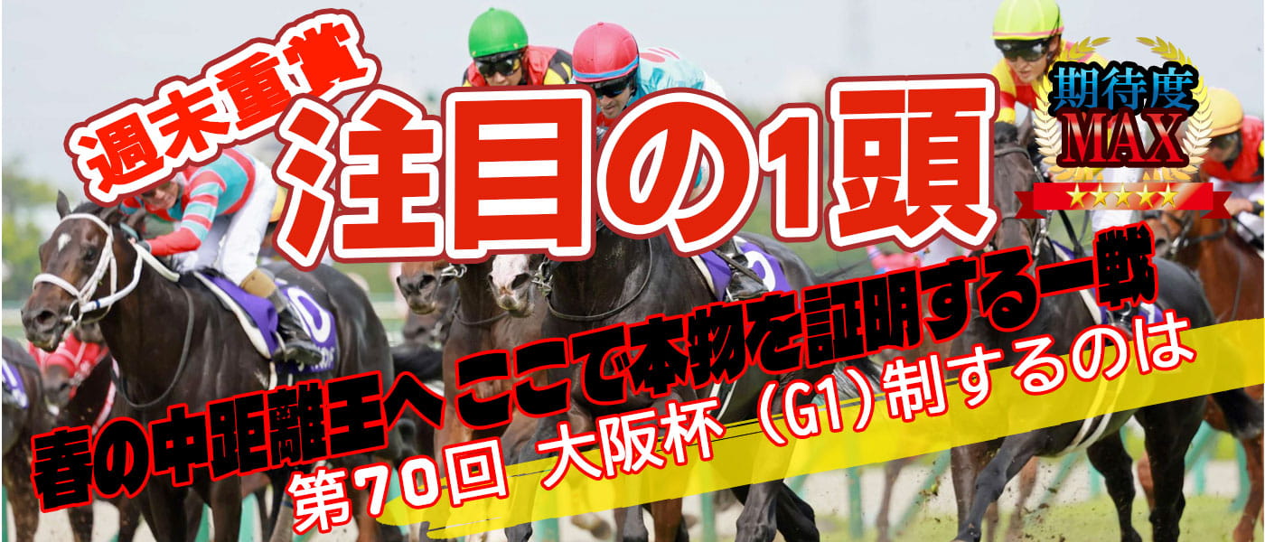 毎週水曜日更新